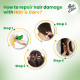 Hair & Care Triple Blend Damage Repair Non-Sticky Hair Oil with Aloe Vera, Olive Oil & Green Tea, 300 ml + 100 ml