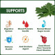 Papaya Leaf Powder I 200 gm I Supports Healthy Blood Platelets I Skin Brightening | 100% Natural | Digestion | Herbal Supplement for Normal Blood Sugar Levels I Anti-Oxidant Agent I Pure