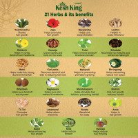 Kesh King Ayurvedic Anti Hairfall Hair Oil|Hair Growth Oil| Reduces Hairfall |21 Natural Ingredients | Grows New Hair With Bhringraja, Amla And Brahmi - 300 Ml, 0.3 Kilograms