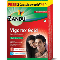 Zandu Vigorex Gold Ayurvedic Daily Energizer - Pack of 20 Capsules
