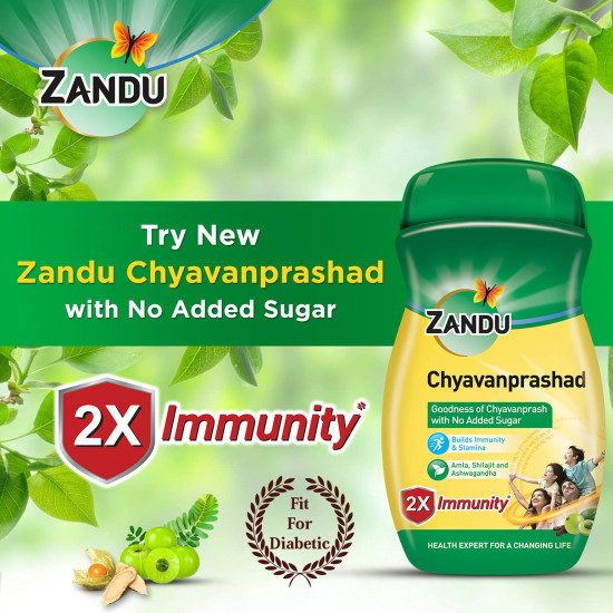 Zandu Chyawanprashad Sugar Free (No ) Chyawanprash-900G|Clinically Tested Suitable Diabetic|Made 46 Ayurvedic Herbs Like Amla,Ashwagandha,Shilajit|Improves Respiratory & Digestive Health,2X Immunity