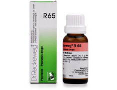 Dr. Reckeweg 65 Psoriasis 22 Ml Reckeweg