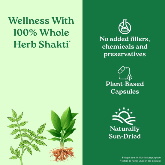 A TATA Product - Organic India Prostate Care - 60 Veg Capsules, Supports Healthy Prostate & Urinary Tract Function & Restore Energy Level, Immunity & Male Reproductive Vitality, GMP & NPOP Certified