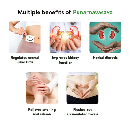 Kerala Ayurveda Punarnavasava 450ml | Ayurveda Tonic for Healthy Urinary System | Kidney Detox | Herbal Diuretic| 100% Ayurvedic | With Punarnava, Gokshura, Patola, Kantakari, Vasa, Dhataki etc