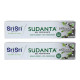 Sri Sri TATTVA shuddhta ka naam Sudanta Herbal Gel Toothpaste - All Natural, SLS Free, Fluoride Free Tooth Paste with Charcoal, Salt & More - 100g (Pack of 2), for Kids and Adults Sri Sri TATTVA shuddhta ka naam Sudanta Herbal Gel Toothpaste - All Natural, SLS Free, Fluoride Free Tooth Paste with Charcoal, Salt & More - 100g (Pack of 2), for Kids and Adults