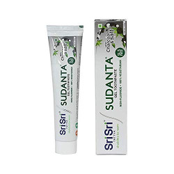 Sri Sri TATTVA shuddhta ka naam Sudanta Herbal Gel Toothpaste - All Natural, SLS Free, Fluoride Free Tooth Paste with Charcoal, Salt & More - 100g (Pack of 2), for Kids and Adults