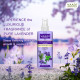 Vaadi Herbals Pvt Ltd Lavender Water -100% Natural & Pure Skin Toner, 250 ml