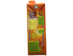Real Masala Mixed Fruit Juice - 1L | No Added Preservatives,No Artificial Colours & Artificial Flavours | Goodness of Best Fruits with Chatpata Masala | Daily Dose of Fruit Nutrition | Tasty, Refreshing & Energizing Fruit Drink