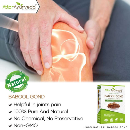 Attar Ayurveda Babul Gond Gum - Kikar Gond - Babool Gond - Acacia arabica Willd (250 Grams)
