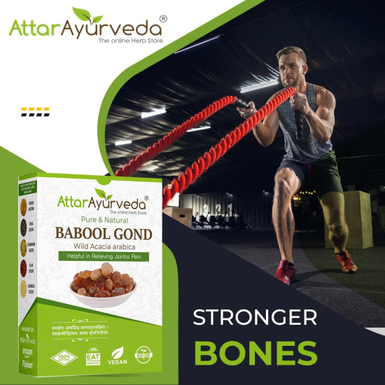 Attar Ayurveda Babul Gond Gum - Kikar Gond - Babool Gond - Acacia arabica Willd (250 Grams)