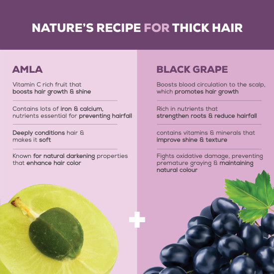 Joy Hair Fruits Shining Black Conditioning Shampoo Enriched with Amla & Black Grapes, 340 ml