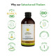 Kerala Ayurveda Sahacharadi Thailam 200ml| Back pain oil | Massage Oil | Relief from Back pain and sciatica | Ayurvedic Tel for Muscle and Joint Pain| With Sahachara, Dashmoola, ManjSesame Oil Base | Original Ayurvedic Herbal formulation.