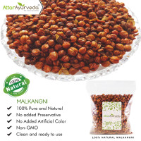 Attar Ayurveda Malkangni Seeds for Brain and Memory- Jyotishmati (100 Gram)