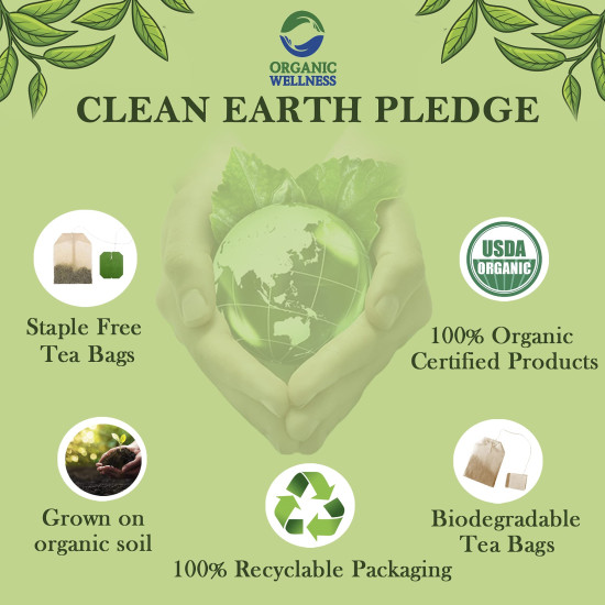 Organic Wellness Cinnamon Liquid Yoga Tea | 25 Tea Bags