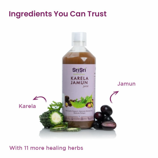 Sri Sri TATTVA shuddhta ka naam Karela Jamun Juice | Maintains Blood Sugar Levels | Reduces Bad Cholesterol | Good For Digestive Health | No Added Sugar | 1 Litre I Pack of 2