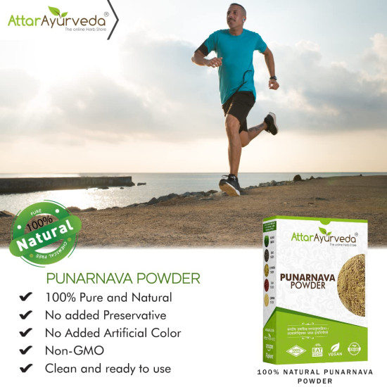 Attar Ayurveda Punarnava Powder for Kidney Rejuvenation (250 gm)