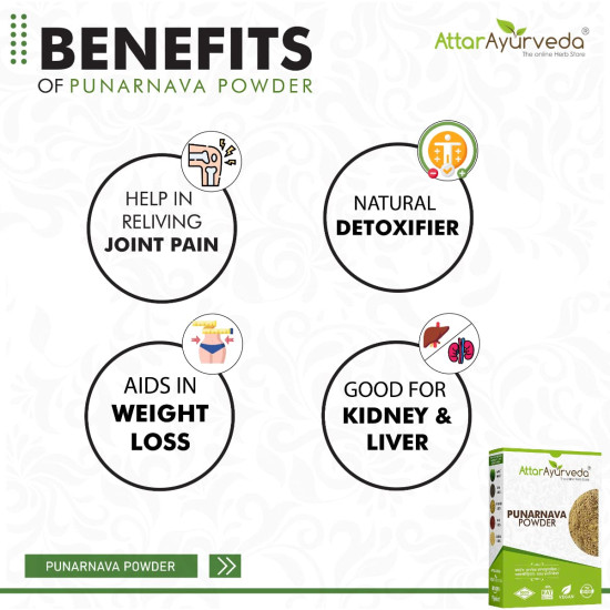 Attar Ayurveda Punarnava Powder for Kidney Rejuvenation (250 gm)