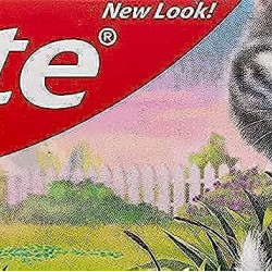 Colgate Kids Anticavity Toothpaste (2-5 years), Strawberry flavour – 40g with Free Stickers