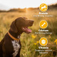 Pedigree Biscrok Biscuits (Above 4 Months) Dog Treats, Chicken Flavour, 900 g, Source of Calcium, Goodness of 15% Protein