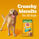 Pedigree Biscrok Biscuits (Above 4 Months) Dog Treats, Chicken Flavour, 900 g, Source of Calcium, Goodness of 15% Protein