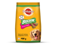 Pedigree Biscrok Biscuits (Above 4 Months) Dog Treats, Chicken with Milk Flavour, 500 g, Source of Calcium, Goodness of 15% Protein