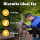 Pedigree Biscrok Biscuits (Above 4 Months) Dog Treats, Chicken with Milk Flavour, 500 g, Source of Calcium, Goodness of 15% Protein