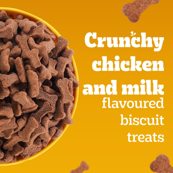 Pedigree Biscrok Biscuits (Above 4 Months) Dog Treats, Chicken with Milk Flavour, 500 g, Source of Calcium, Goodness of 15% Protein