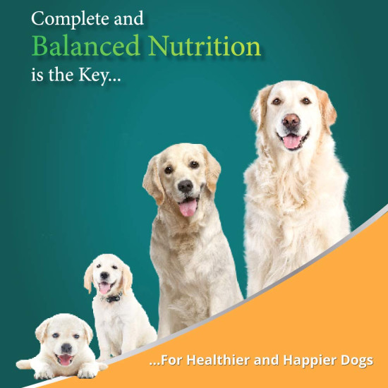 Himalaya Healthy PET Food for Adult Dogs | Meat & Rice | 3kg | Complete & Balanced Nutrition with Mountain Knot Grass, Tree of Heaven & Guduchi