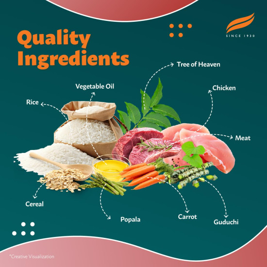 Himalaya Healthy PET Food for Adult Dogs | Meat & Rice | 1.2kg | Complete & Balanced Nutrition with Mountain Knot Grass, Tree of Heaven & Guduchi