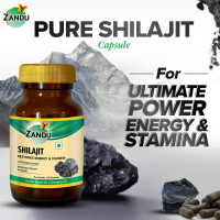 Zandu Shilajit Capsules (60 Caps) Infused with Goodness of Natural Shilajit Extracts for Enhanced Energy & Strength in Men, Manages Stress, Immunity Booster