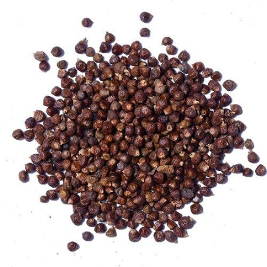 Yuvika Tomar Seeds - Nepali Dhania - Tomar Beej - Beej Tomru 200 Grams Yuvika Tomar Seeds - Nepali Dhania - Tomar Beej - Beej Tomru 200 Grams