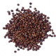 Yuvika Tomar Seeds - Nepali Dhania - Tomar Beej - Beej Tomru 200 Grams Yuvika Tomar Seeds - Nepali Dhania - Tomar Beej - Beej Tomru 200 Grams