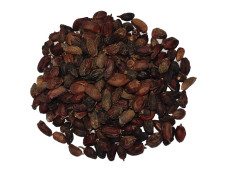 Yuvika Neem Niboli - Azadirachta Indica Seeds - Neem Seeds 200 Grams