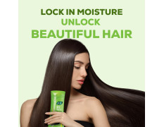 Joy Lemon & Olives Hair Dryness Control Conditioning Shampoo (340ml x 2) | For Dry & Frizzy Hair | Makes Hair Smooth & Shiny | For Men & Women