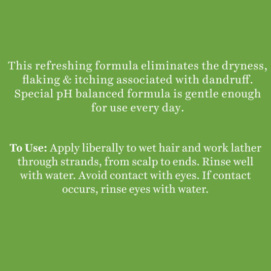 Biotique Fresh Neem Anti Dandruff Shampoo and Conditioner | Controls Dandruff | Eliminates Dryness, Flaking, and Itching | Hair Looks Fresh and Lustrous |Suitable for All Skin Types | 650ml