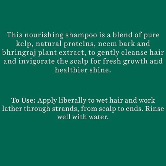 Biotique Ocean Kelp Anti Hairfall Shampoo | Intensive Hair Growth Therapy| Anti Hairfall Shampoo that Maintains Shine |100% Botanical Extracts | Suitable for All Hair Types |180ml