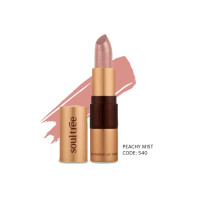 SoulTree Ayurvedic Lipstick - Peachy Mist 540, 4gm | Creamy Texture | Enriched with Organic Ghee & Almond Oil | Moistured & Nourished Lips | 4gm