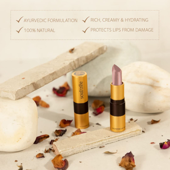SoulTree Ayurvedic Lipstick - Peachy Mist 540, 4gm | Creamy Texture | Enriched with Organic Ghee & Almond Oil | Moistured & Nourished Lips | 4gm