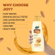Joy Honey & Almonds Advanced Nourishing Lightweight Summer Body Lotion 750ml | Enriched With Shea Butter | Natural Sunscreen Filters | 48 Hour Moisture, Suitable for Normal to Dry Skin