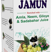 Axiom Karela Jamun Juice | Enriched with Neem, Karela, Jamun & Giloye | Helps to Maintain Blood Sugar Levels|Enhance Digestive System -1L (Pack of 4)