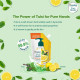 Himalaya Pure Hands | Deep Cleansing Tulsi and Lemon Hand Wash Refill - 750 ml