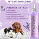 Caredom Dry Shampoo for Dogs & Cats | Waterless Dog Shampoo Spray with Lavender | Dry Bath for Cats | Fresh & Clean for Pets | Wash Grooming Spray (200 ml)