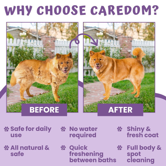 Caredom Dry Shampoo for Dogs & Cats | Waterless Dog Shampoo Spray with Lavender | Dry Bath for Cats | Fresh & Clean for Pets | Wash Grooming Spray (200 ml)