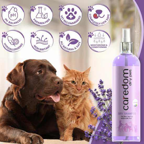 Caredom Dry Shampoo for Dogs & Cats | Waterless Dog Shampoo Spray with Lavender | Dry Bath for Cats | Fresh & Clean for Pets | Wash Grooming Spray (200 ml)
