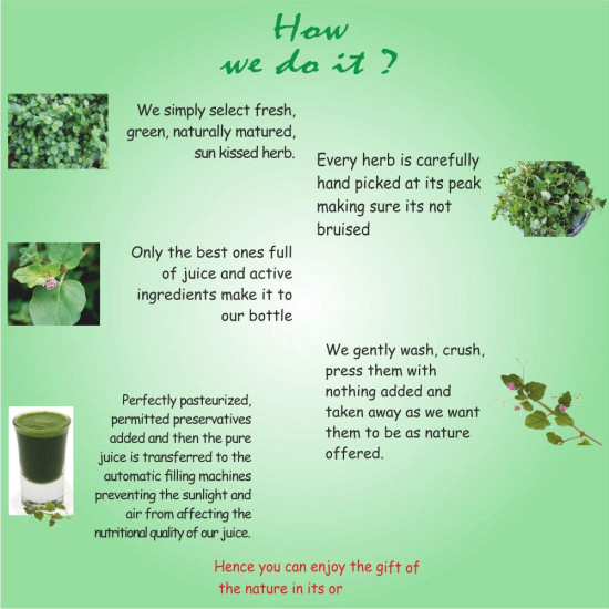 Axiom Punarnava Panchang Herbal Juice - 500mL | Helps in Reducing Obesity & Sugar Levels | Enriched with Punarnava Herbs | 100% Natural & Ayurvedic Juice | Certified Product | WHO-GMP, GLP Certified