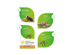 Kerala Ayurveda Eladi Thailam(100 ml) - Pack of 3