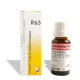 DR RECKEWEG R 63 IMPAIRED CIRCULATION 22 ML RECKEWEG