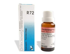 DR RECKEWEG R 72 PANCREAS 22 ML RECKEWEG