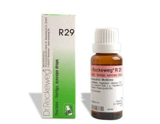 Dr. Reckeweg R 29 Vertigo,Syncope 22 Ml Reckeweg