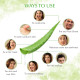WOW Skin Science Aloe Vera Multipurpose Beauty Gel for Skin and Hair, 250 ml
